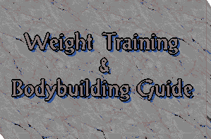 Bodybuilding Guide